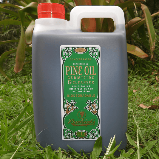 Pine Oil and Germicide